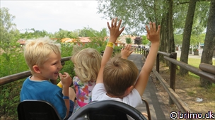 Miniature af billede nummer 3077