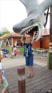 Miniature af billede nummer 3079