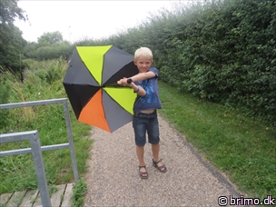 Tilfældigt billede fra August 2014