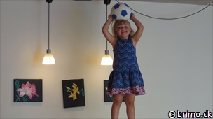 Miniature af billede nummer 3086