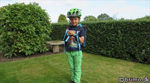 Miniature af billede nummer 3090