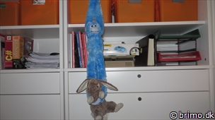 Miniature af billede nummer 3108