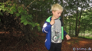 Miniature af billede nummer 3111