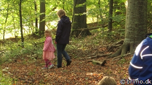 Miniature af billede nummer 3112