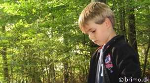 Miniature af billede nummer 3113