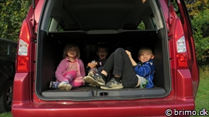 Miniature af billede nummer 3114