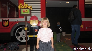 Miniature af billede nummer 3119