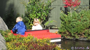 Miniature af billede nummer 3121