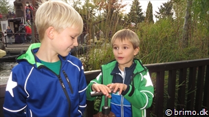 Miniature af billede nummer 3124