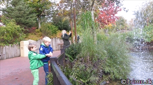 Miniature af billede nummer 3126