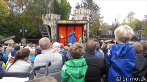 Miniature af billede nummer 3135