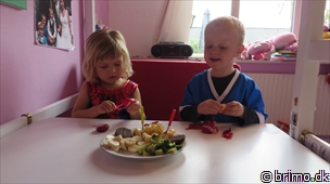 Miniature af billede nummer 3136