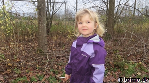 Miniature af billede nummer 3143