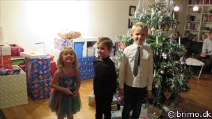 Miniature af billede nummer 3155