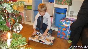 Miniature af billede nummer 3164