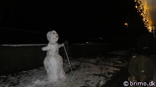 Miniature af billede nummer 3168