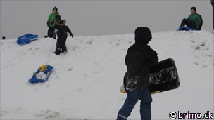 Miniature af billede nummer 3174