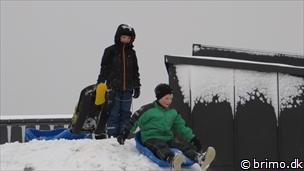 Miniature af billede nummer 3175