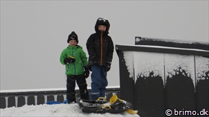 Miniature af billede nummer 3176