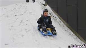 Miniature af billede nummer 3178