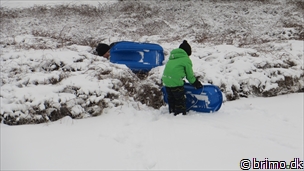 Miniature af billede nummer 3181