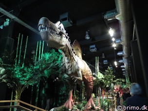 Miniature af billede nummer 3183