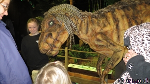 Miniature af billede nummer 3187