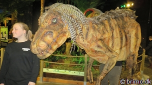 Miniature af billede nummer 3188