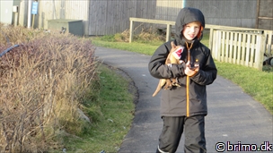 Miniature af billede nummer 3195