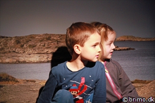 Miniature af billede nummer 3201