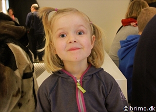 Miniature af billede nummer 3206