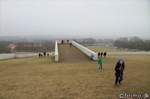 Miniature af billede nummer 3208