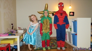 Miniature af billede nummer 3209