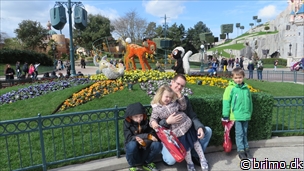 Miniature af billede nummer 3231