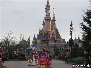 Miniature af billede nummer 3238