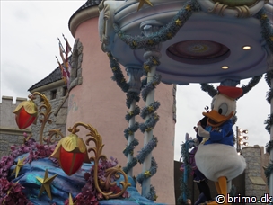 Miniature af billede nummer 3239