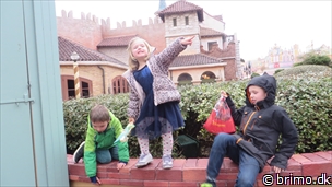 Miniature af billede nummer 3242