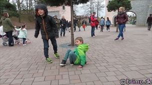 Miniature af billede nummer 3243