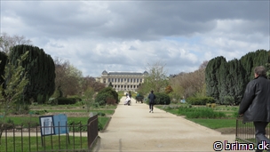 Miniature af billede nummer 3251