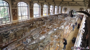 Miniature af billede nummer 3253