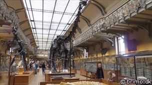 Miniature af billede nummer 3255