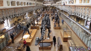 Miniature af billede nummer 3257