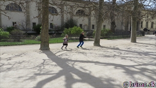 Miniature af billede nummer 3258