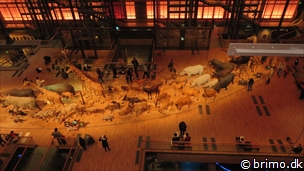 Miniature af billede nummer 3259