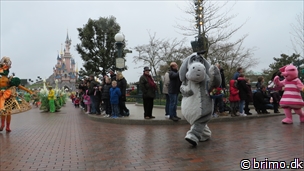 Miniature af billede nummer 3270