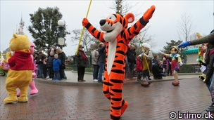 Miniature af billede nummer 3271