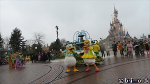 Miniature af billede nummer 3272