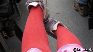 Miniature af billede nummer 3281