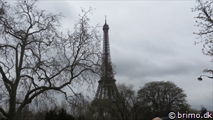 Miniature af billede nummer 3285