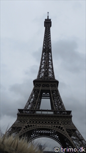 Miniature af billede nummer 3286